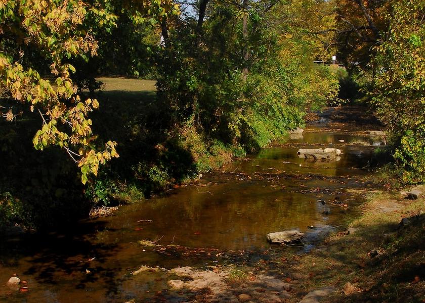 City View from Property