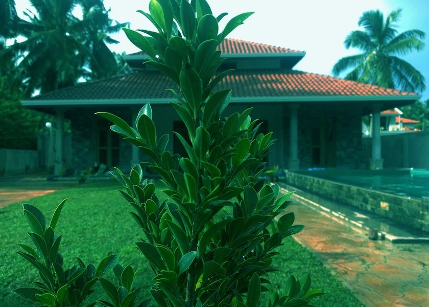 Gampaha District Negombo Garden