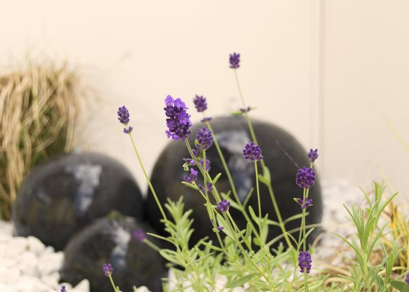 Schleswig-Holstein Dagebuell Exterior Detail