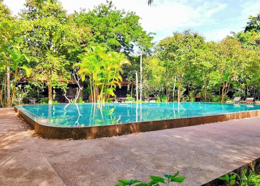 Siem Reap Siem Reap View from Property