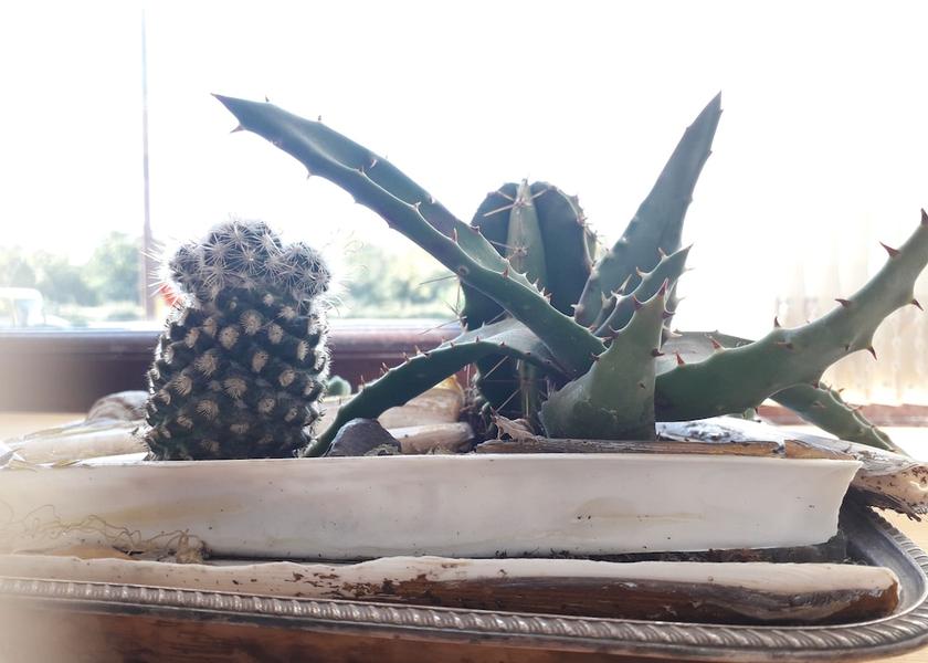 Wales Llandeilo Room