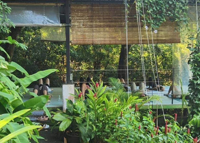 Kedah Langkawi Yoga Centre