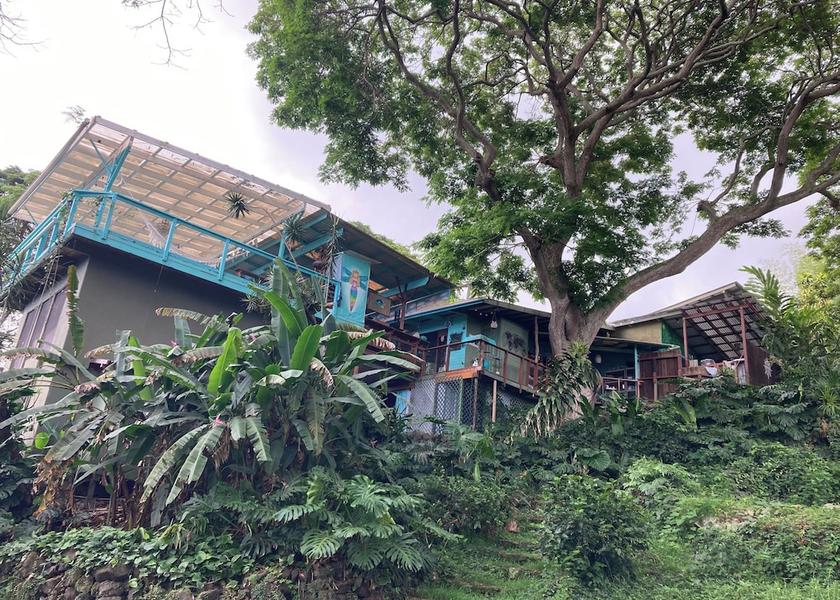 Hawaii Captain Cook View from Property