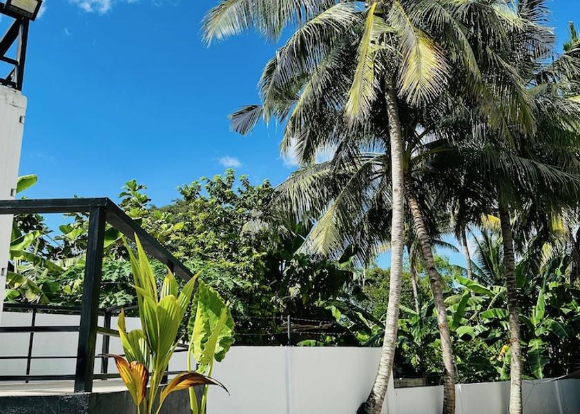 Central Visayas Moalboal Property grounds