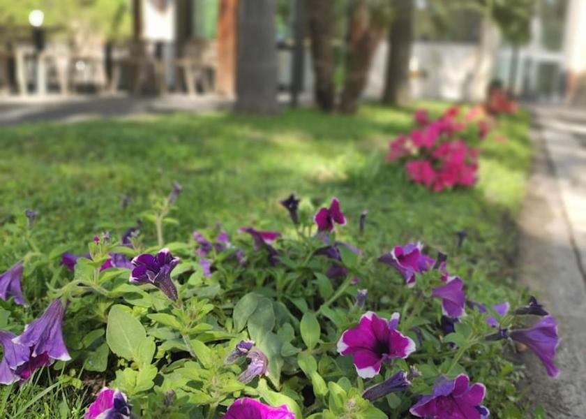 Sicily Mascali Exterior Detail