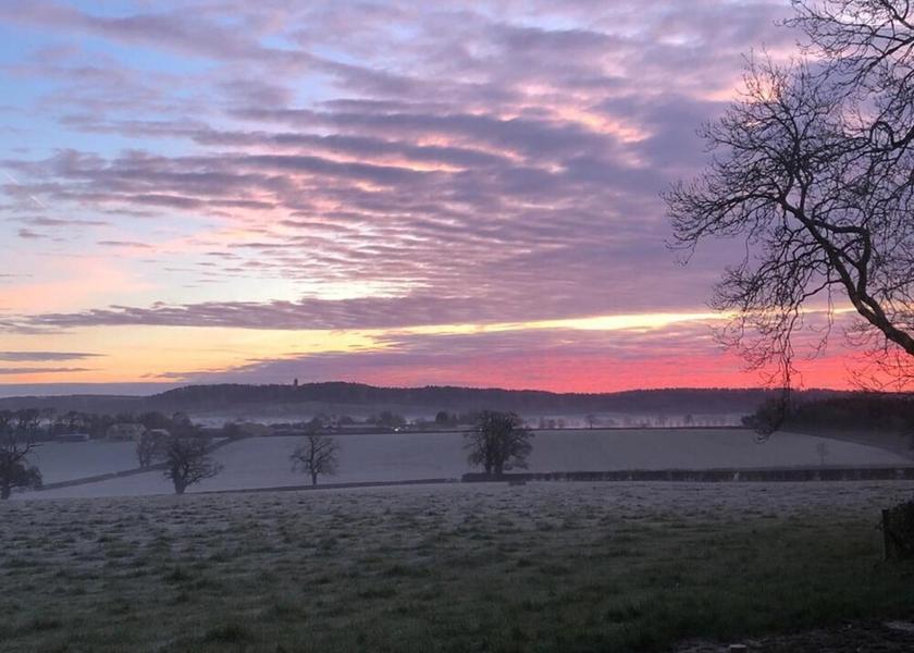 Land View from Property