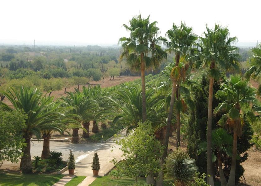 Balearic Islands Consell Exterior