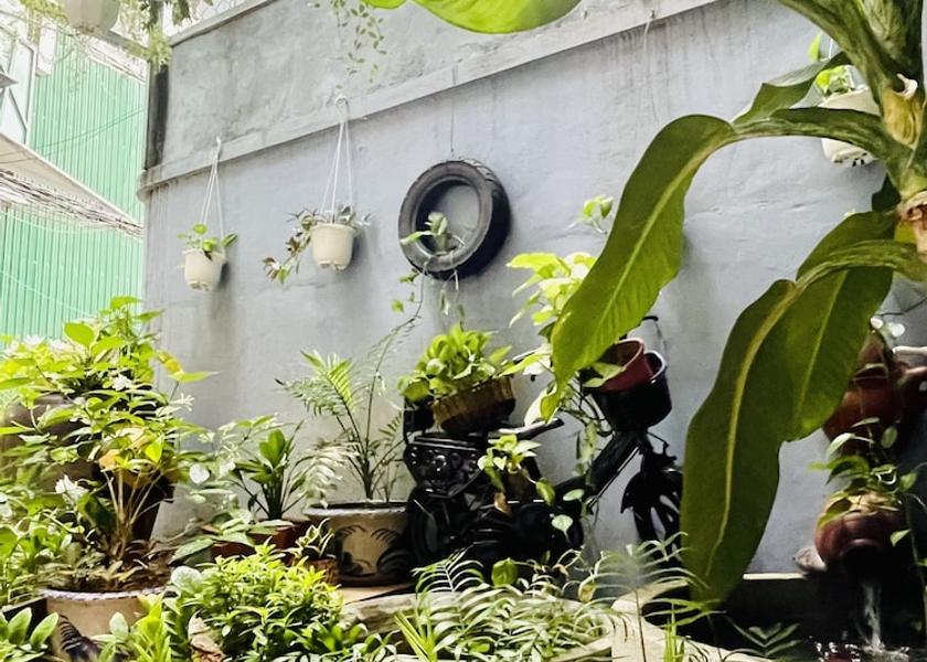 Thua Thien-Hue Hue Facade