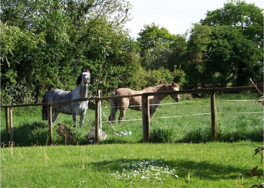 England Corsham Exterior Detail