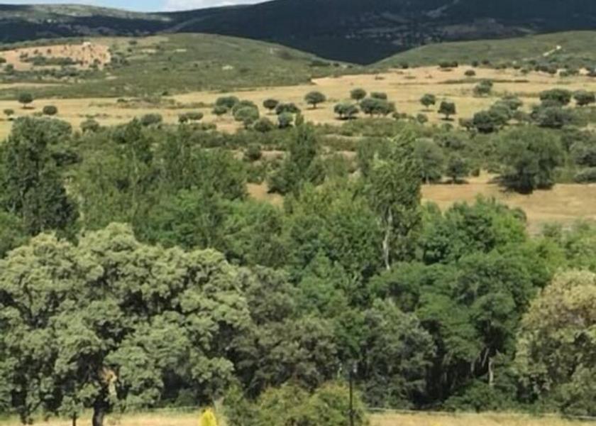 Castilla - La Mancha Los Navalucillos View From Room