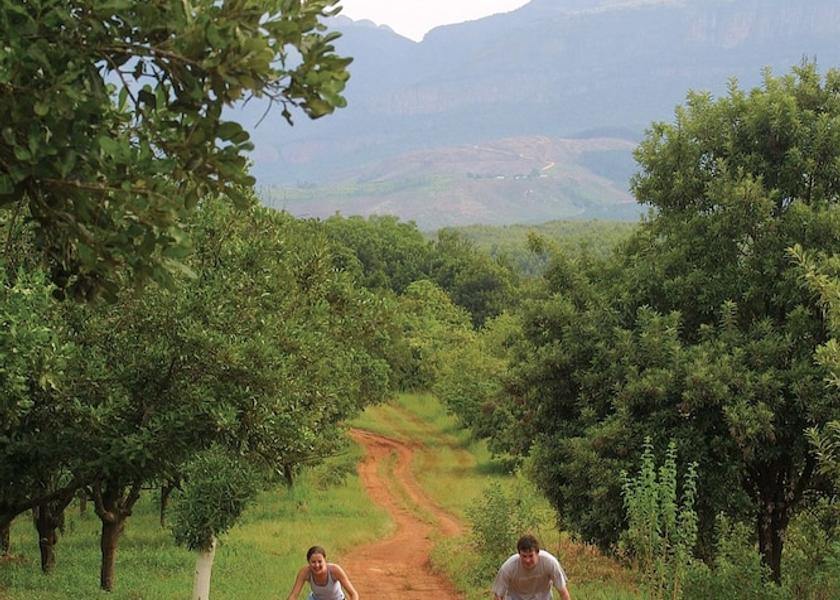 Limpopo Tzaneen Sports facility