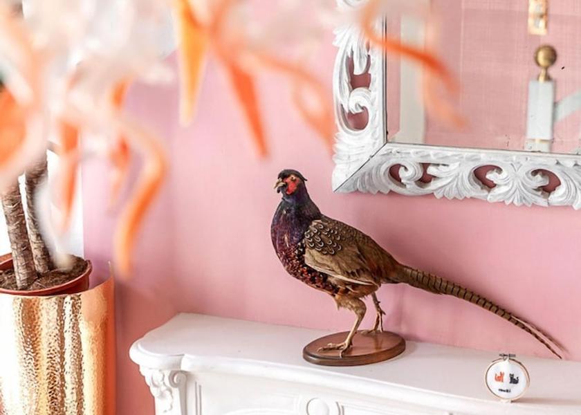 Nouvelle-Aquitaine Chatellerault Reception