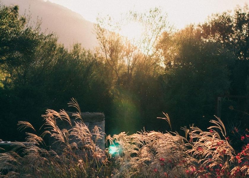 Sardinia Oliena Couples Dining