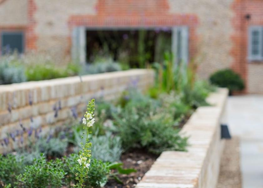 England King's Lynn Garden