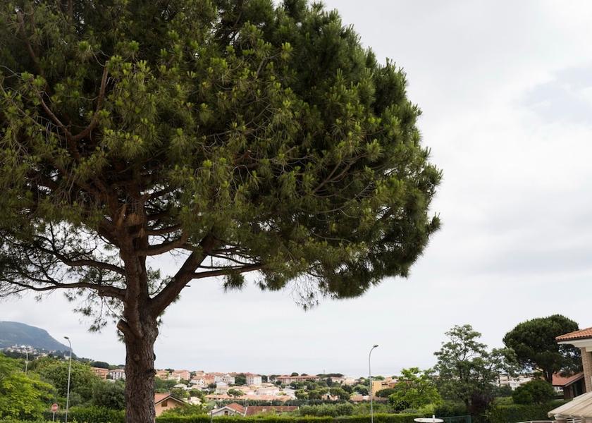 Marche Numana Exterior Detail