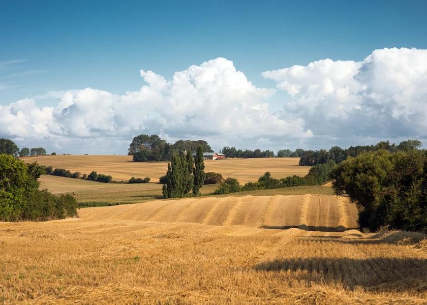  Maribo View from Property
