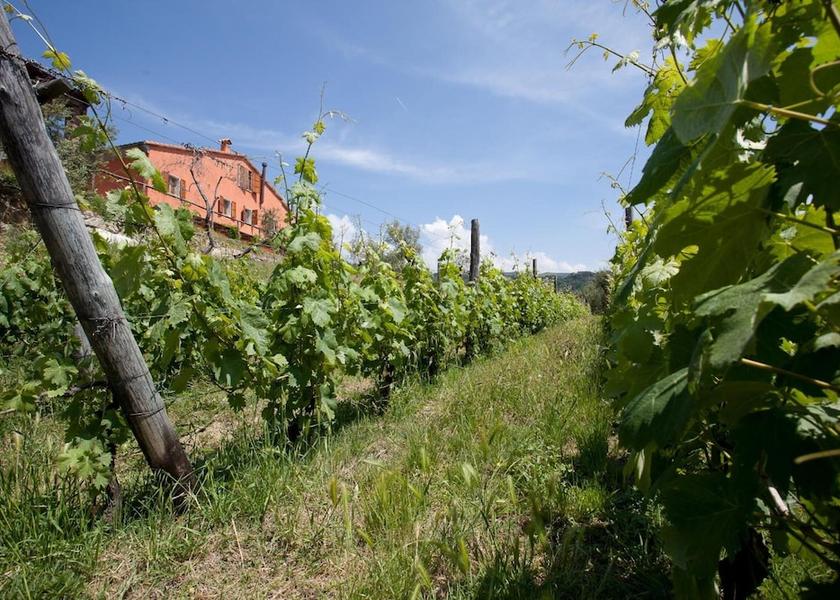 Tuscany Fosdinovo Property Grounds