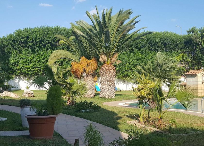  Nabeul Exterior Detail