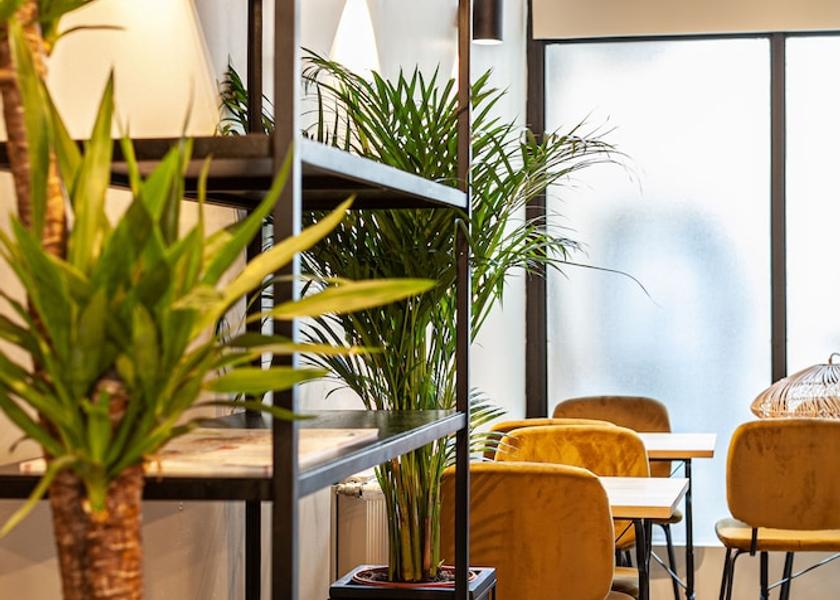 Bourgogne-Franche-Comte Cluny Living Area