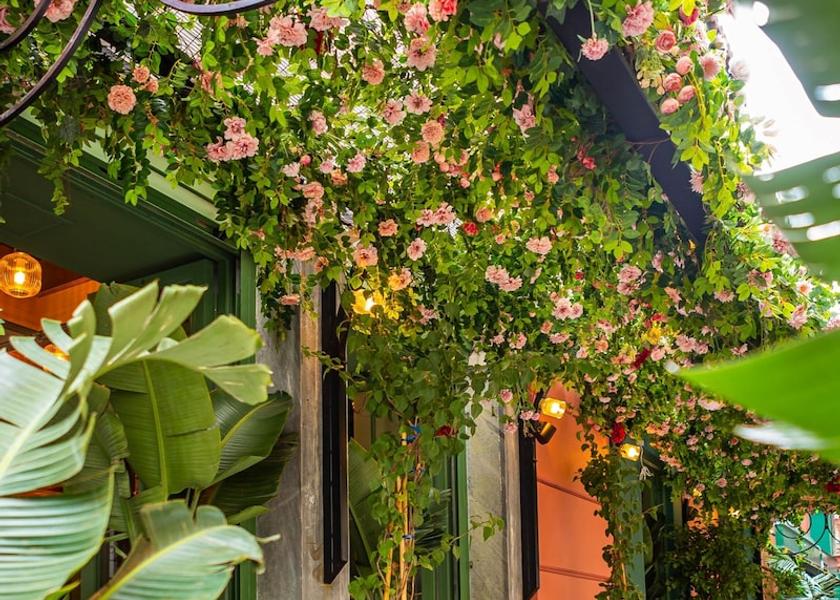 Attica Athens Garden