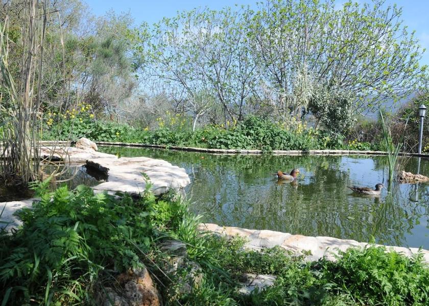 Umbria Lugnano In Teverina Lake