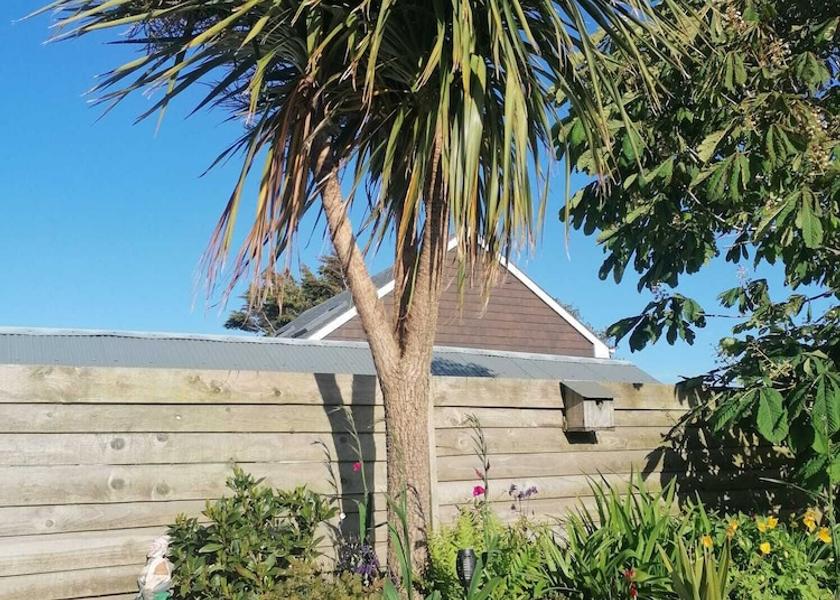 England Newquay Garden