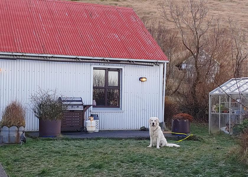 South Iceland Vik I Myrdal Exterior Detail