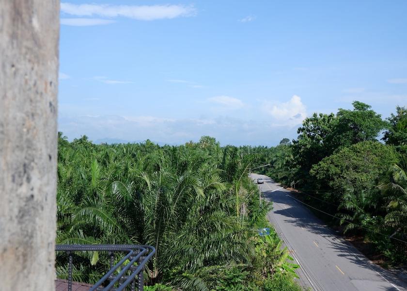 Surat Thani Phunphin View from Property