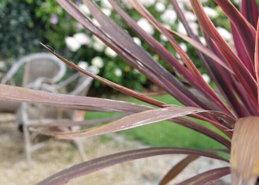 Brittany Pleumeur-Bodou Exterior Detail