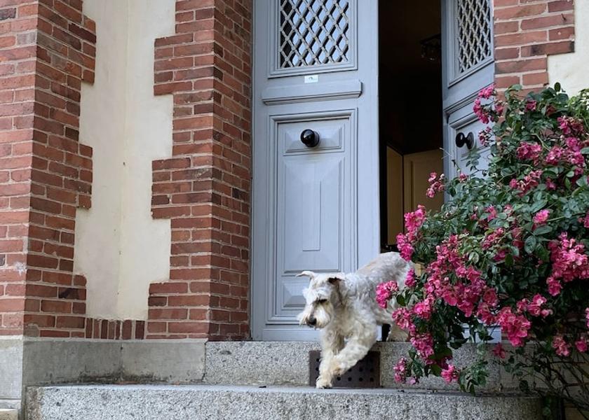Normandy Coutances Exterior Detail