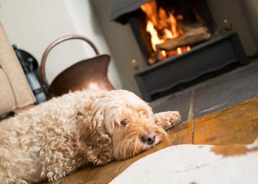 England Barnard Castle Interior Entrance