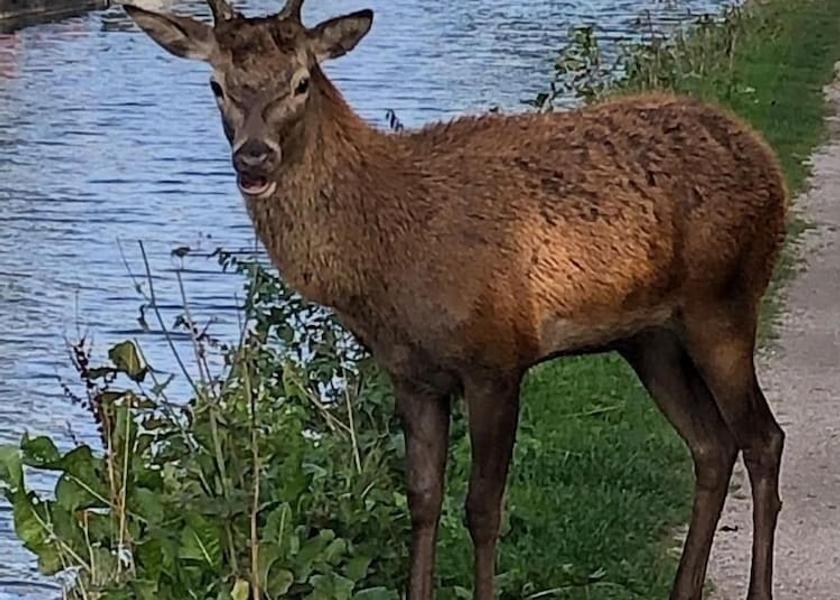 England Sutton Coldfield Exterior Detail
