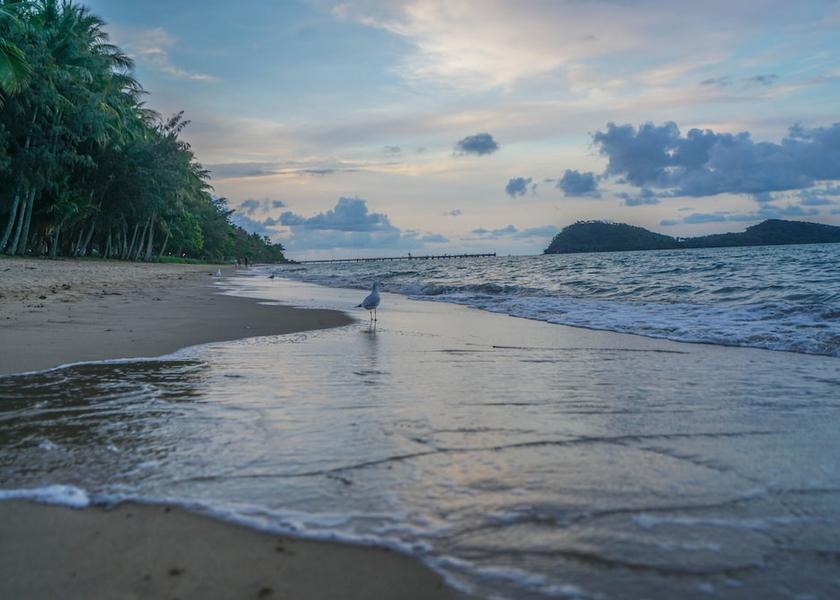 Queensland Palm Cove Beach