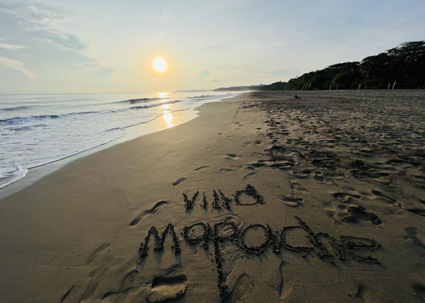 Limón Province Cahuita Beach