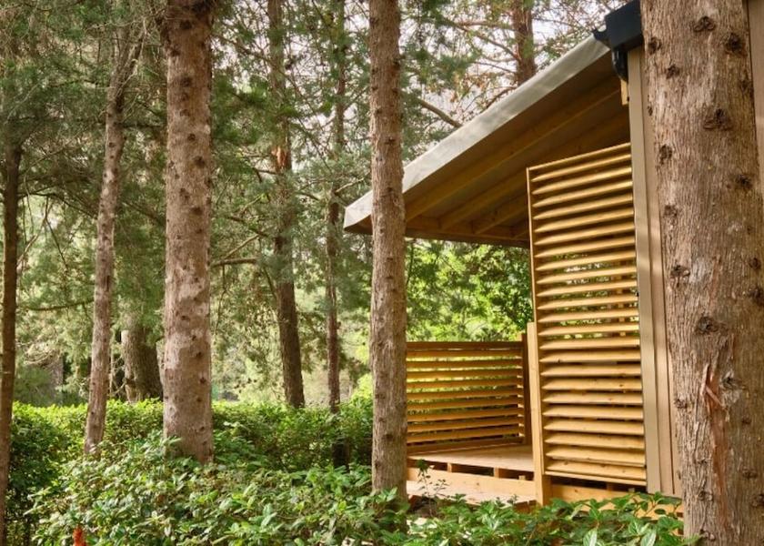 Provence - Alpes - Cote d'Azur Orgon Facade