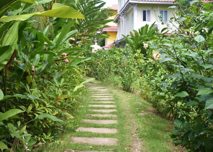 Bocas del Toro Bocas del Toro Garden