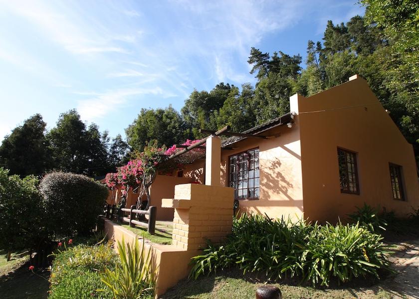 Western Cape Knysna Primary image