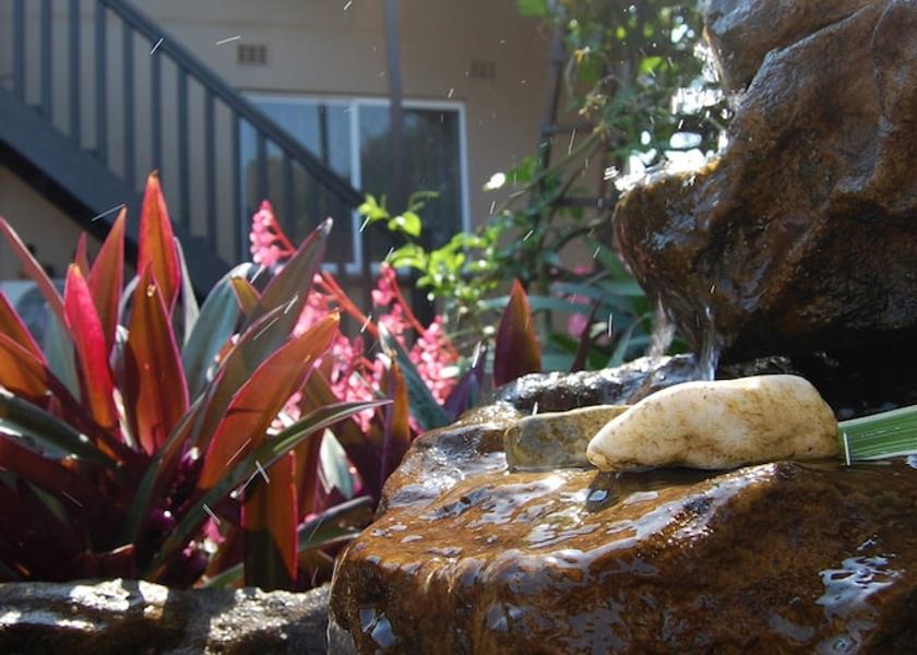 KwaZulu-Natal Durban North Garden