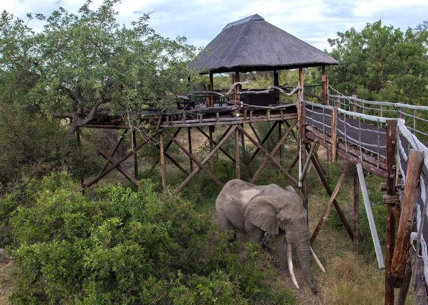 Limpopo Hoedspruit Exterior Detail