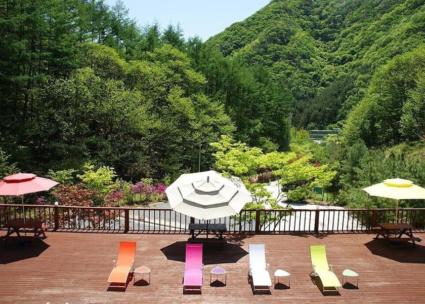 Gyeonggi Pocheon View from Property