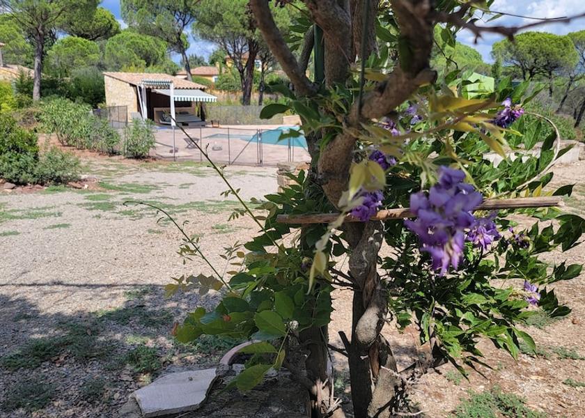 Provence - Alpes - Cote d'Azur Vidauban Exterior Detail