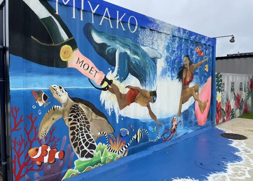 Okinawa (prefecture) Miyakojima Exterior Detail