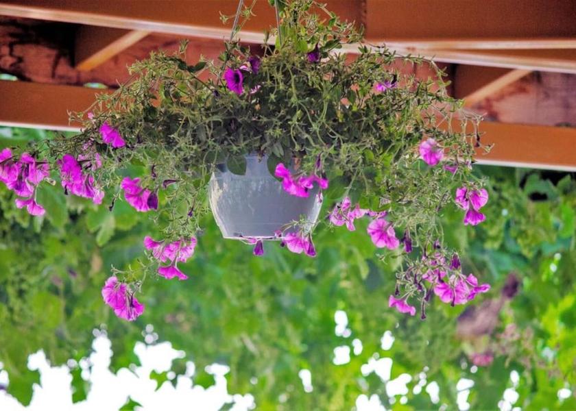 Muğla Fethiye Interior Entrance