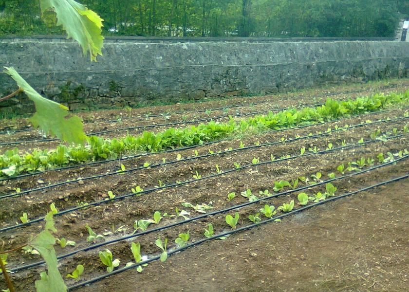 Friuli-Venezia Giulia Duino-Aurisina Garden