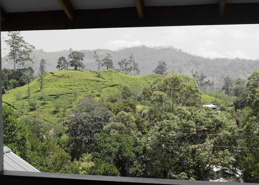 Uva Province Ella Land view from property