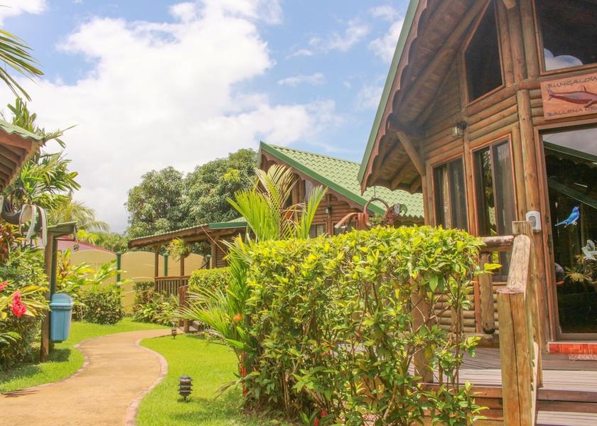 Puntarenas Province Bahía Ballena Reception