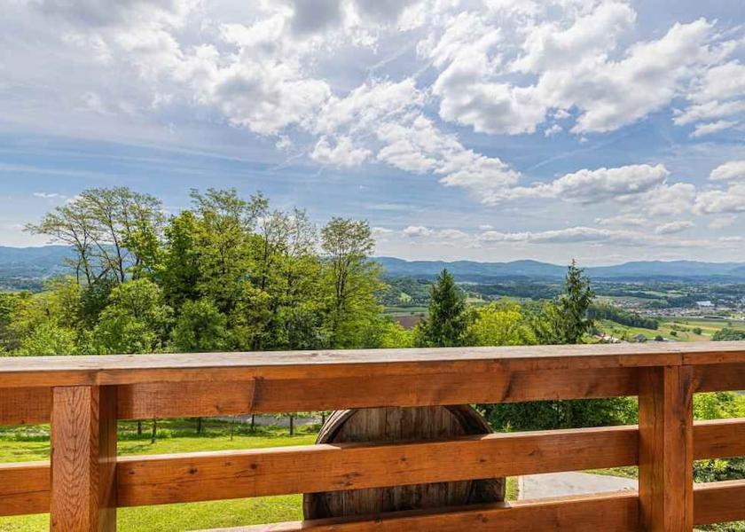  Novo Mesto View from Property