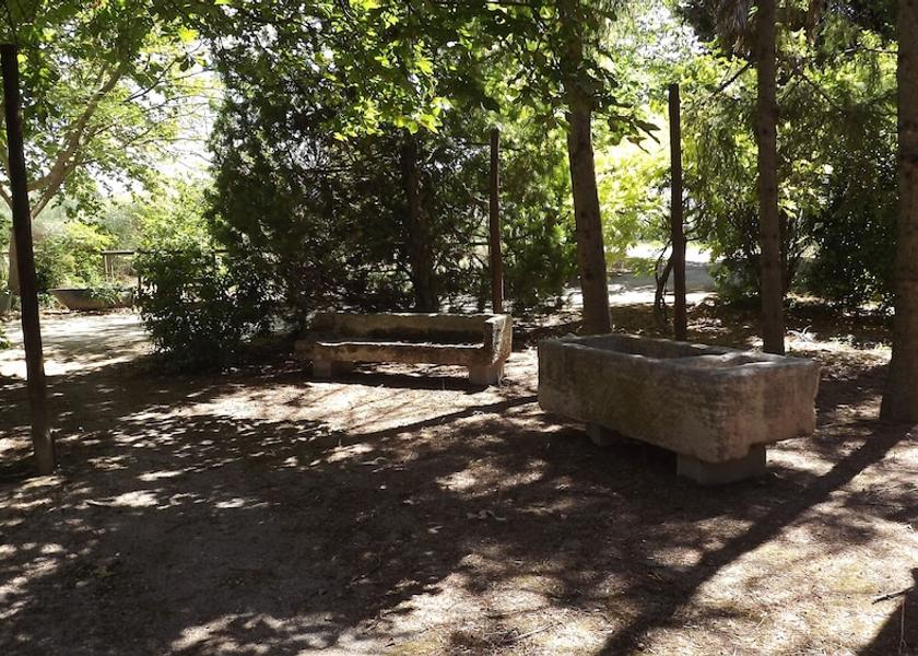 Provence-Alpes-Côte d'Azur Cavaillon Garden