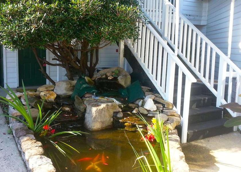 Georgia Ellijay Exterior Detail