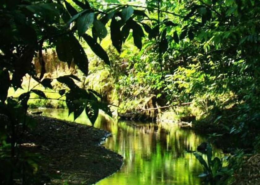 Puntarenas Golfito Lake